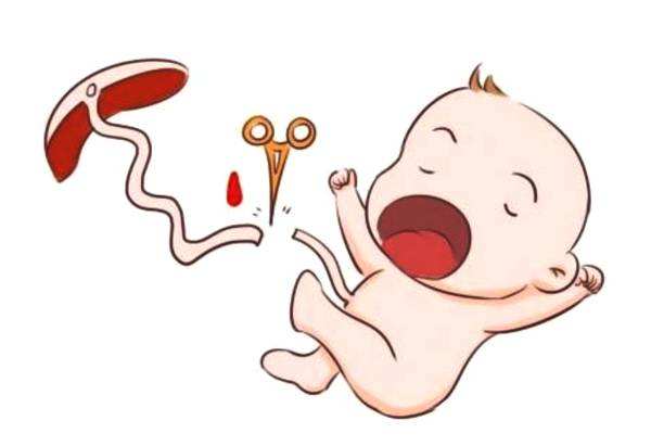 二胎来袭，脐带血，新生儿干细胞储存