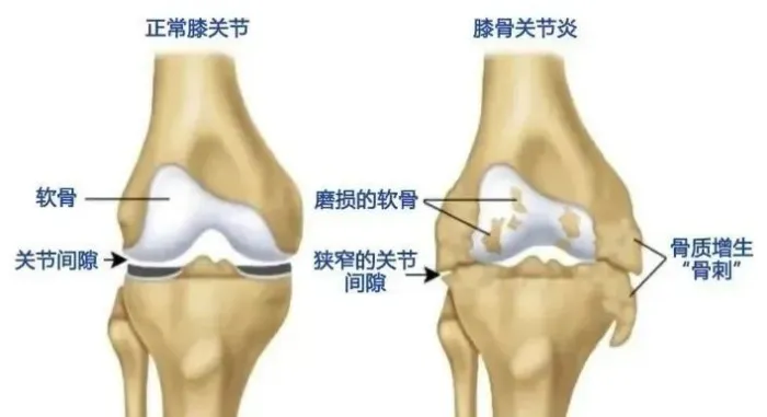 华隆干细胞库、脐带血存储、干细胞存储