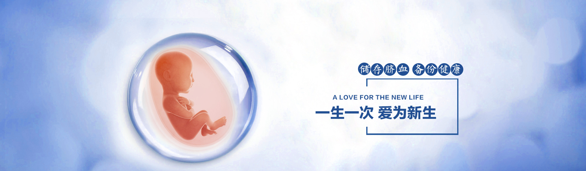 轮播5